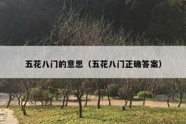 五花八门的意思（五花八门正确答案）