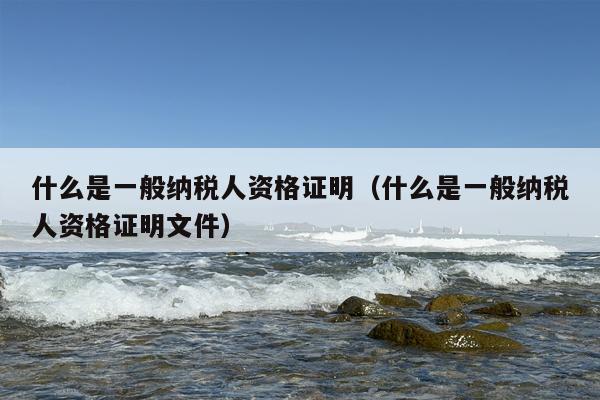 什么是一般纳税人资格证明（什么是一般纳税人资格证明文件）