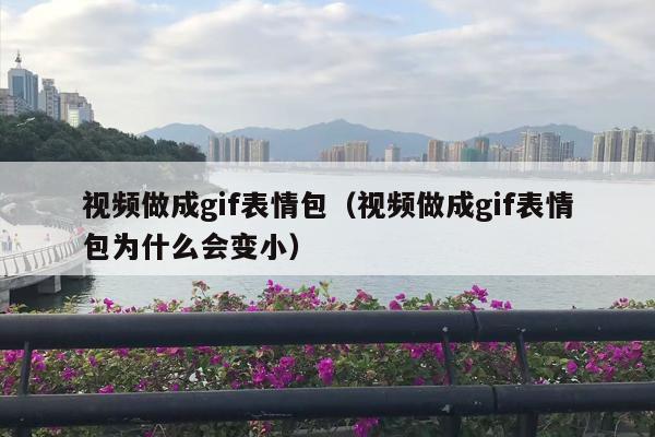 视频做成gif表情包（视频做成gif表情包为什么会变小）