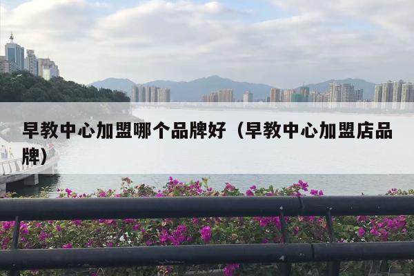 早教中心加盟哪个品牌好（早教中心加盟店品牌）