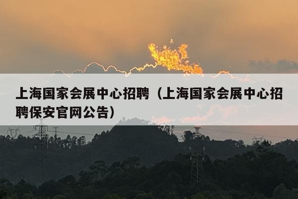上海国家会展中心招聘（上海国家会展中心招聘保安官网公告）