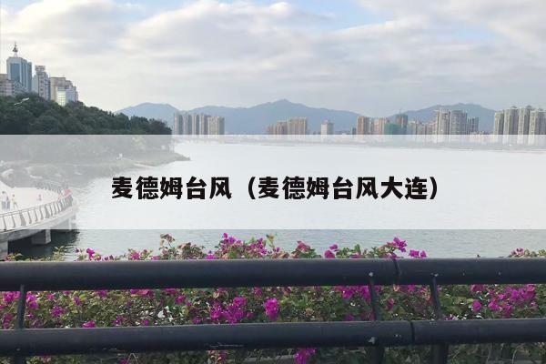 麦德姆台风（麦德姆台风大连）