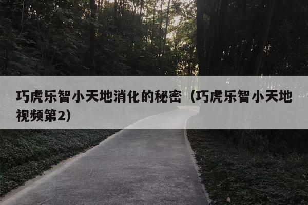 巧虎乐智小天地消化的秘密（巧虎乐智小天地视频第2）