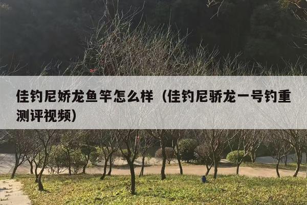 佳钓尼娇龙鱼竿怎么样（佳钓尼骄龙一号钓重测评视频）