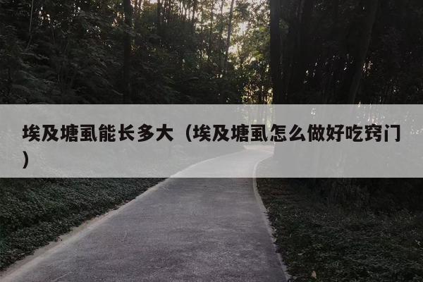 埃及塘虱能长多大（埃及塘虱怎么做好吃窍门）