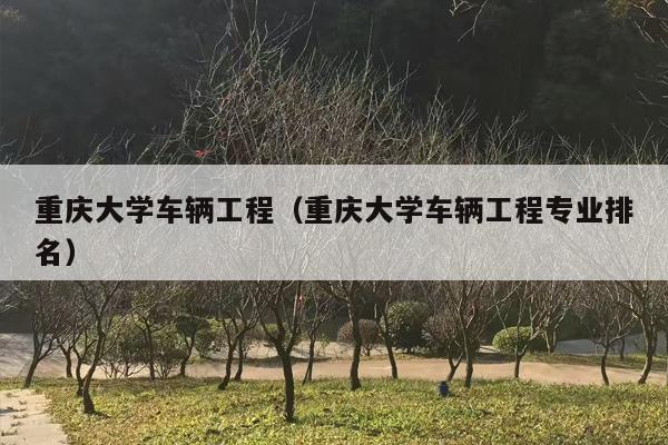 重庆大学车辆工程（重庆大学车辆工程专业排名）
