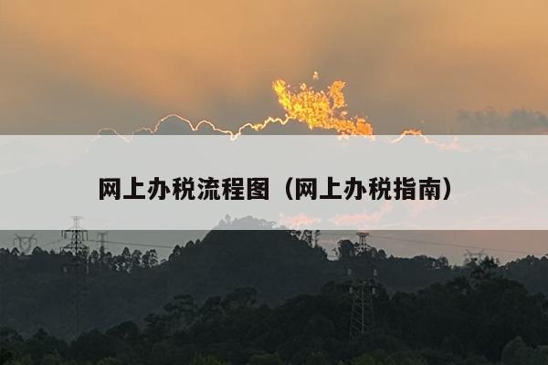 网上办税流程图（网上办税指南）