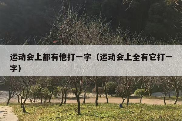 运动会上都有他打一字（运动会上全有它打一字）