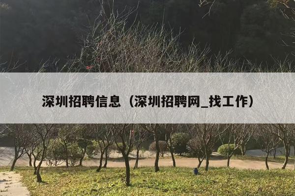 深圳招聘信息（深圳招聘网_找工作）