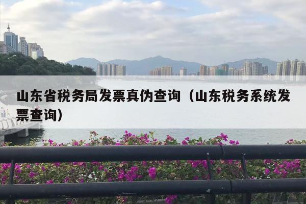 详细阅读:山东省税务局发票真伪查询(山东税务系统发票查询) 山东省税务局发票真伪查询(山东税务系统发票查询)