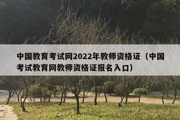 中国教育考试网2022年教师资格证（中国考试教育网教师资格证报名入口）