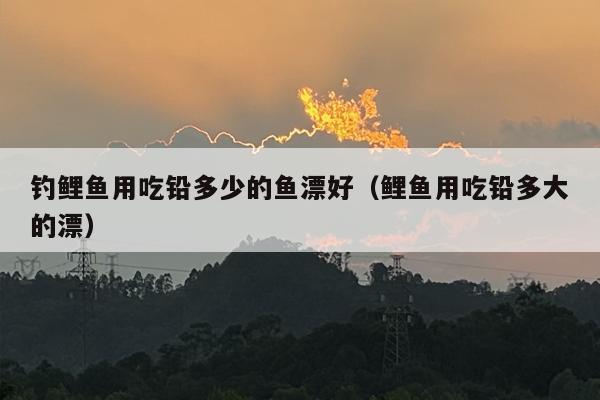 钓鲤鱼用吃铅多少的鱼漂好（鲤鱼用吃铅多大的漂）