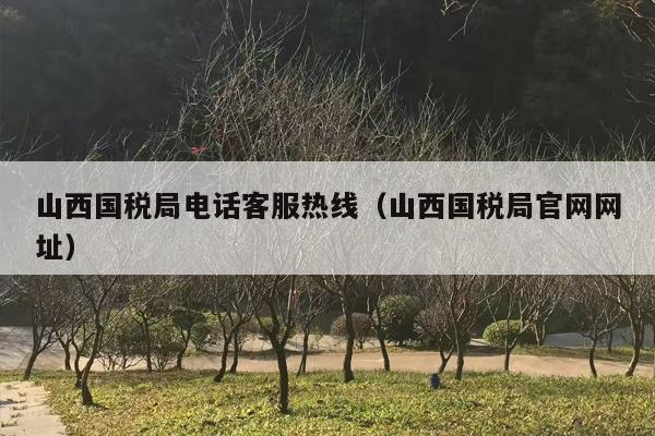 山西国税局电话客服热线（山西国税局官网网址）