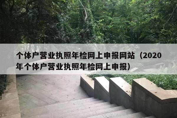 个体户营业执照年检网上申报网站（2020年个体户营业执照年检网上申报）