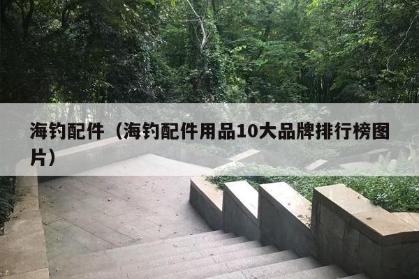 海钓配件（海钓配件用品10大品牌排行榜图片）