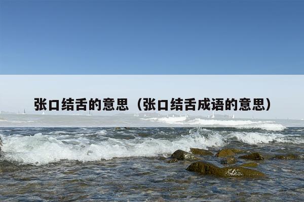 张口结舌的意思（张口结舌成语的意思）