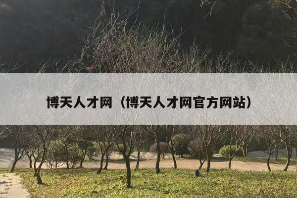 博天人才网（博天人才网官方网站）