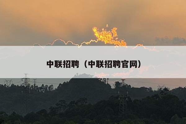 中联招聘（中联招聘官网）