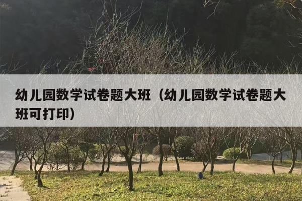幼儿园数学试卷题大班（幼儿园数学试卷题大班可打印）