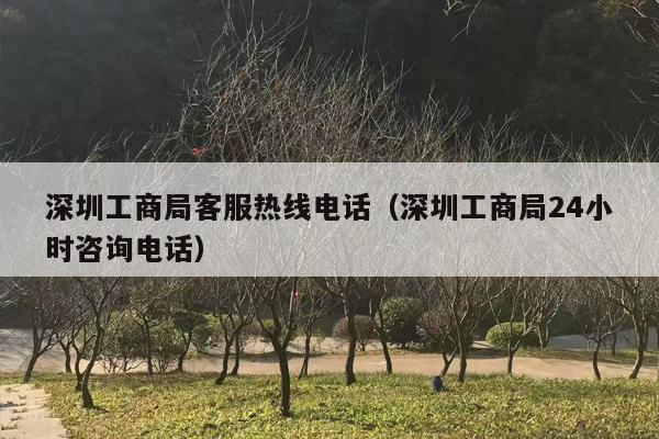 深圳工商局客服热线电话（深圳工商局24小时咨询电话）