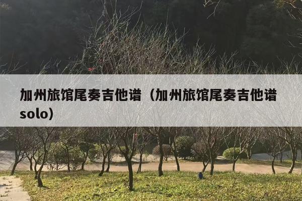 加州旅馆尾奏吉他谱（加州旅馆尾奏吉他谱 solo）