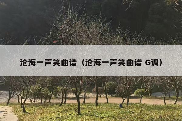 沧海一声笑曲谱（沧海一声笑曲谱 G调）
