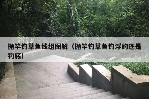 抛竿钓草鱼线组图解（抛竿钓草鱼钓浮的还是钓底）