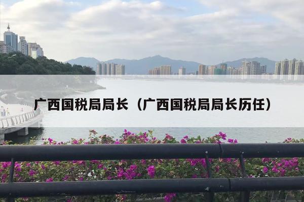 广西国税局局长（广西国税局局长历任）