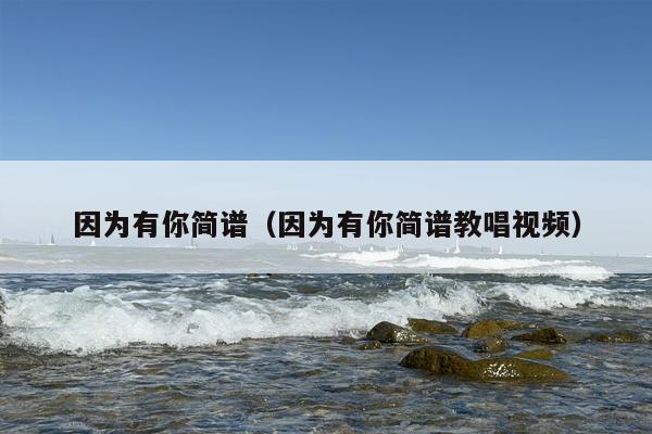 因为有你简谱（因为有你简谱教唱视频）