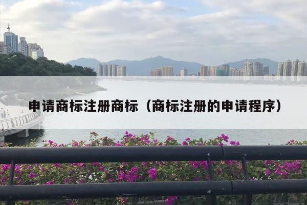申请商标注册商标（商标注册的申请程序）