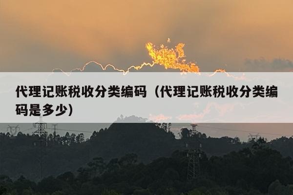 代理记账税收分类编码（代理记账税收分类编码是多少）