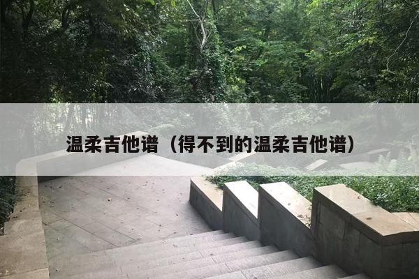 温柔吉他谱（得不到的温柔吉他谱）