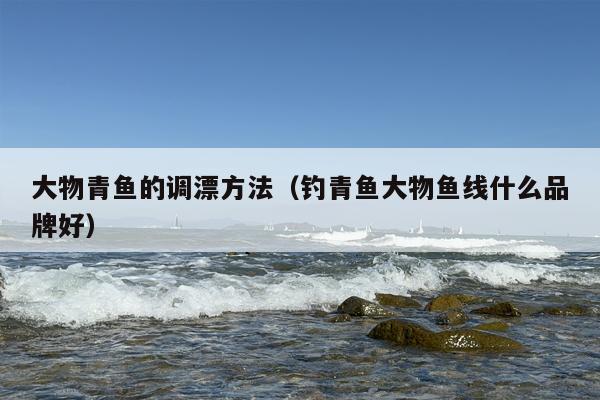 大物青鱼的调漂方法（钓青鱼大物鱼线什么品牌好）