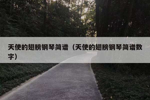 天使的翅膀钢琴简谱（天使的翅膀钢琴简谱数字）