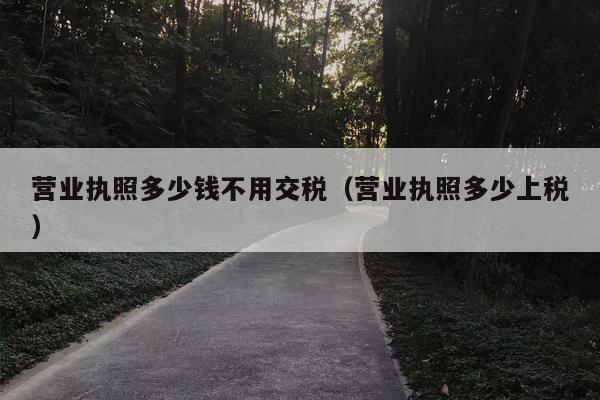 营业执照多少钱不用交税（营业执照多少上税）
