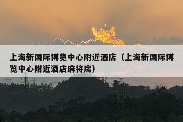 上海新国际博览中心附近酒店（上海新国际博览中心附近酒店麻将房）