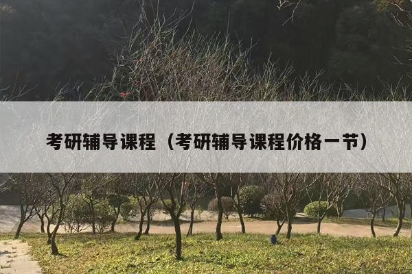 考研辅导课程（考研辅导课程价格一节）