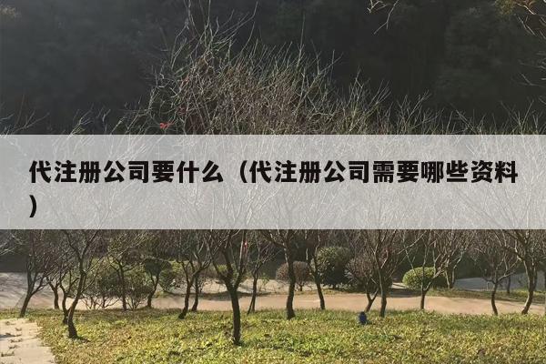 代注册公司要什么（代注册公司需要哪些资料）