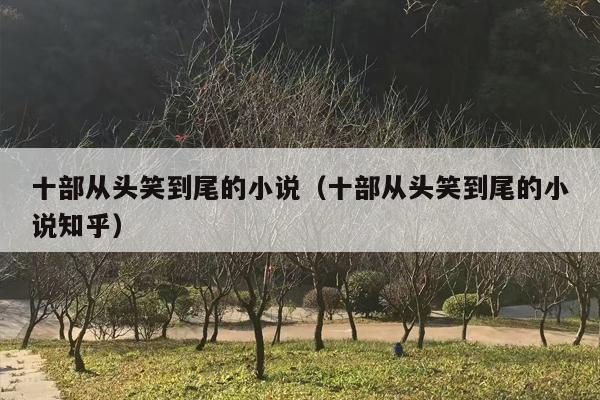 十部从头笑到尾的小说（十部从头笑到尾的小说知乎）