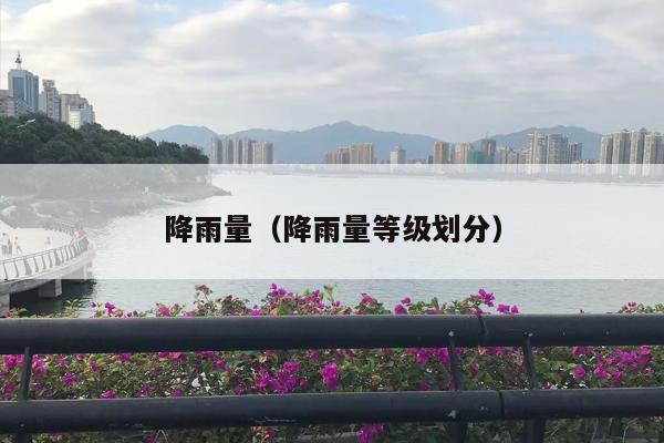 降雨量（降雨量等级划分）