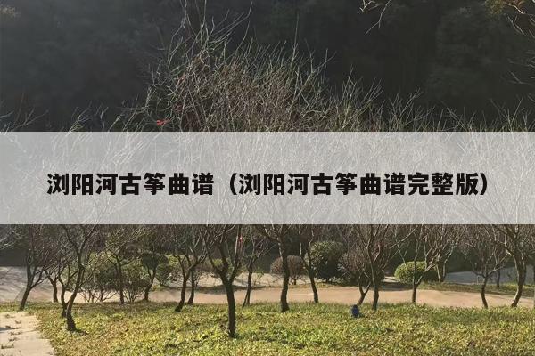 浏阳河古筝曲谱（浏阳河古筝曲谱完整版）