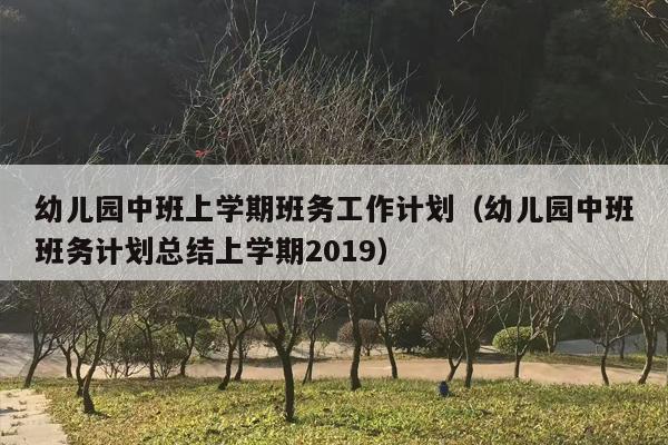 幼儿园中班上学期班务工作计划（幼儿园中班班务计划总结上学期2019）