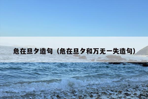 危在旦夕造句（危在旦夕和万无一失造句）