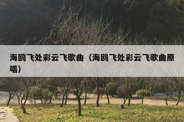 海鸥飞处彩云飞歌曲（海鸥飞处彩云飞歌曲原唱）