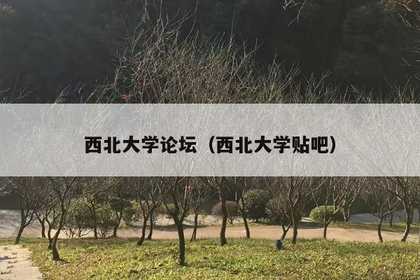 西北大学论坛（西北大学贴吧）