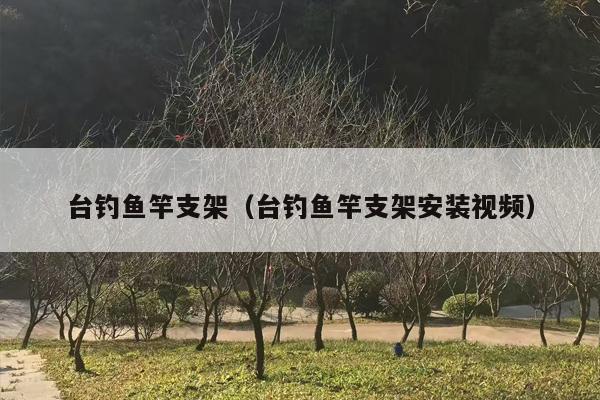 台钓鱼竿支架（台钓鱼竿支架安装视频）