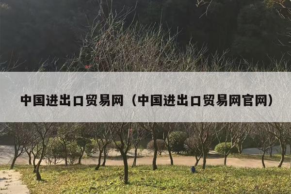 中国进出口贸易网（中国进出口贸易网官网）