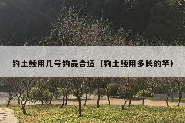 钓土鲮用几号钩最合适（钓土鲮用多长的竿）