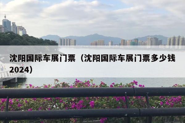 沈阳国际车展门票（沈阳国际车展门票多少钱2024）