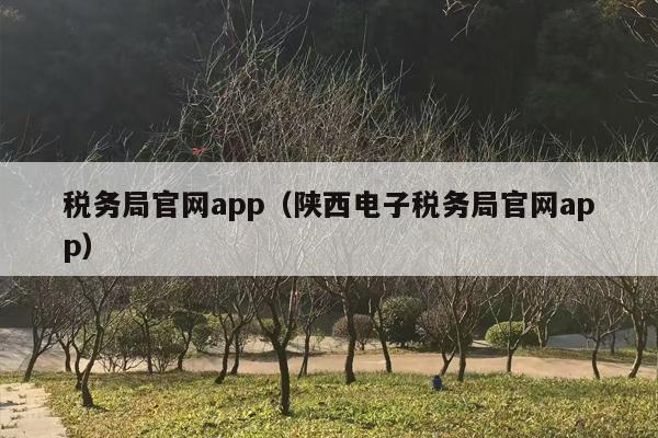 税务局官网app（陕西电子税务局官网app）
